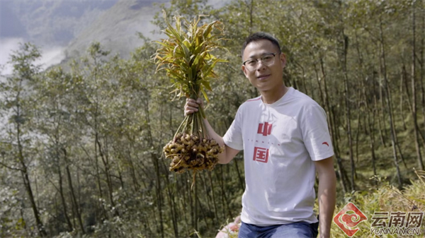 [南方生姜网-图片加载]