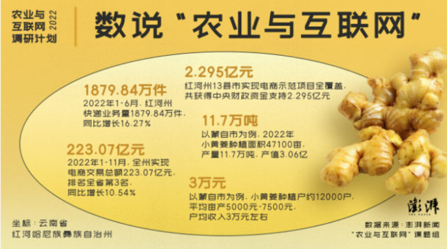 [南方生姜网-图片加载]