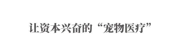 新瑞鵬寵物醫療集團排名（新瑞鵬“狂”
