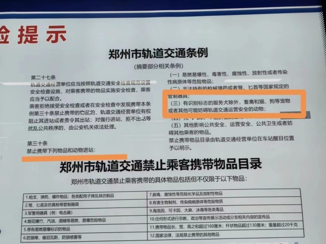 想带猫猫狗狗去旅行但要求是啥？