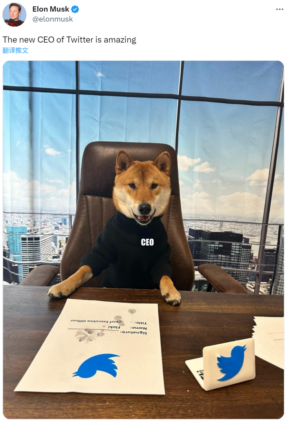 马斯克发文：它是推特新CEO！犬系加密货币被“带飞”！-腾讯新闻
