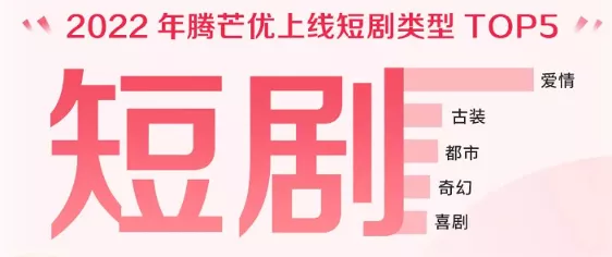 Mcn短剧领域中的头部公司，引领行业发展的力量，Mcn短剧领域头部公司，引领行业发展的力量