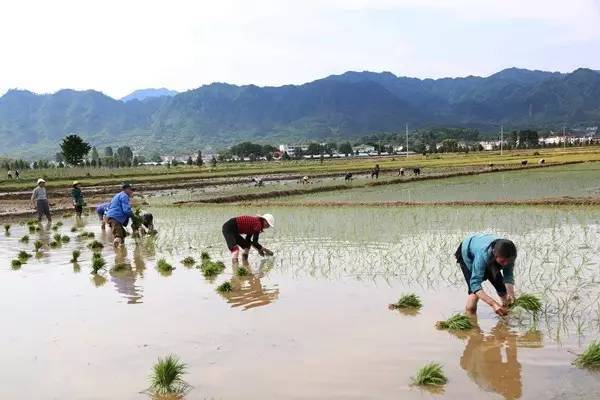 岳西县多少人口_岳西县地图