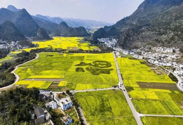 【康养胜地 人文兴义】听花开的声音！“多彩贵州·花漾中国”网络传播活动在兴义启动_腾讯新闻