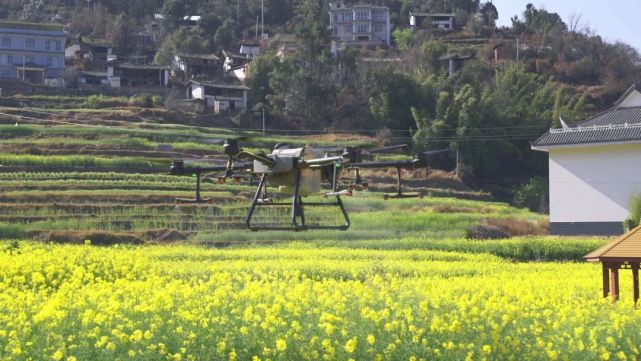 “After 95” boy Yin Wenjie: I’m flying a plane in the field-agriculturalforum-agriculture-msoen