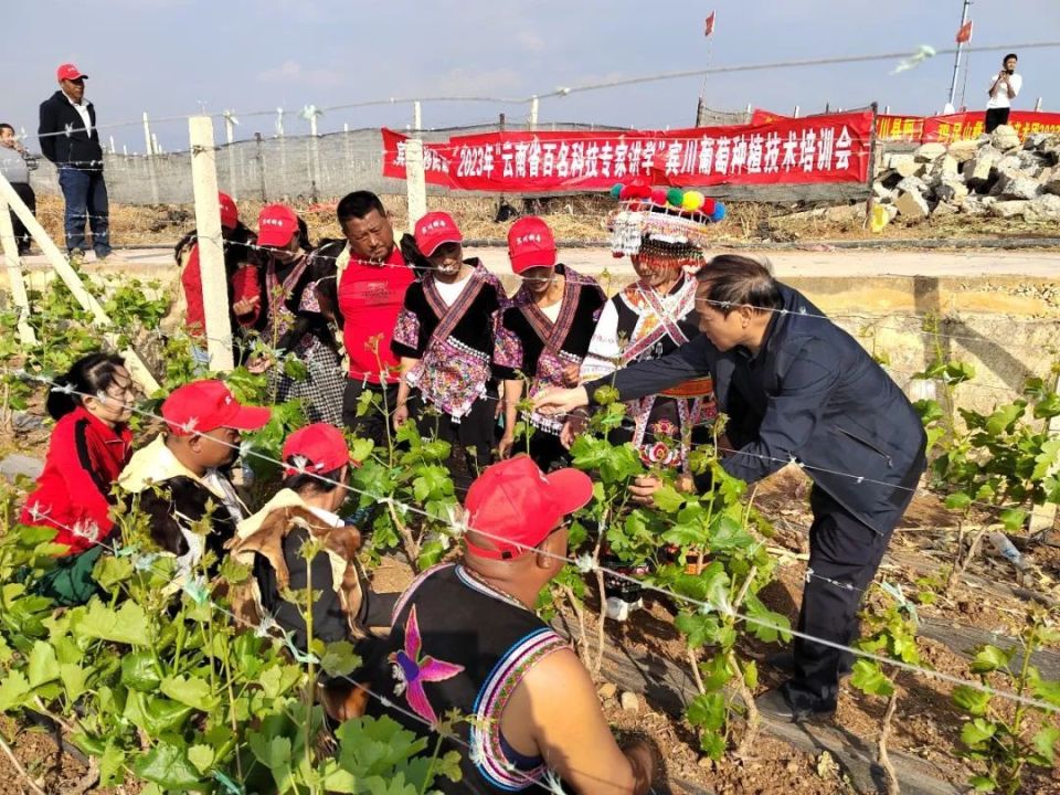 [南方生姜网-图片加载]