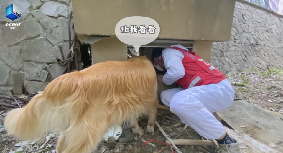 许喵喵 如果猫突然叼来猎物放在你面前，它的意思是____？-腾讯新闻
