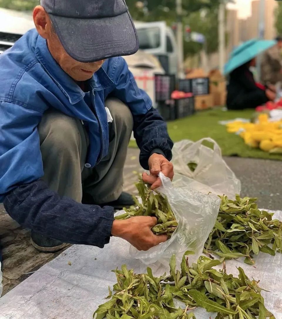 去离俄罗斯最近的县城，吃一场有时差的春天-腾讯新闻