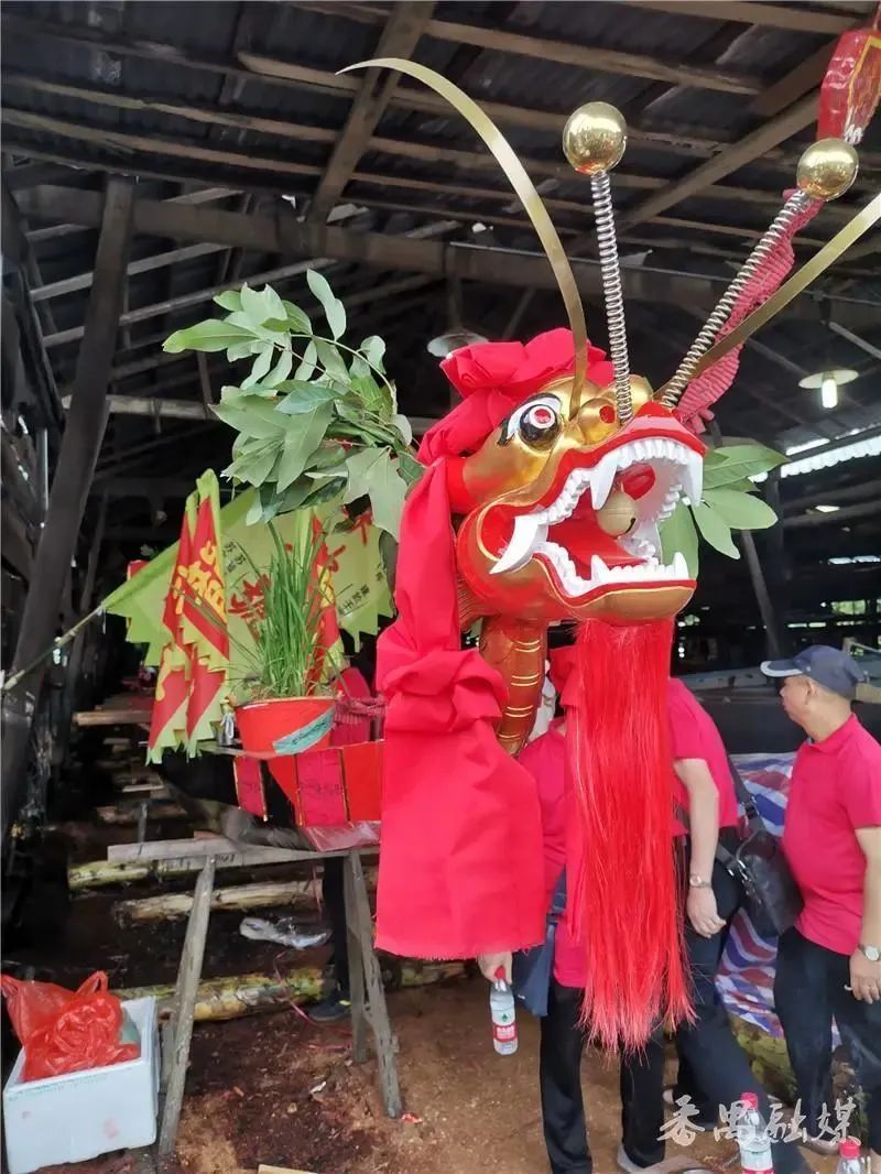新龙骏水，顺风顺水！龙舟起水，蓄势待发！-腾讯新闻