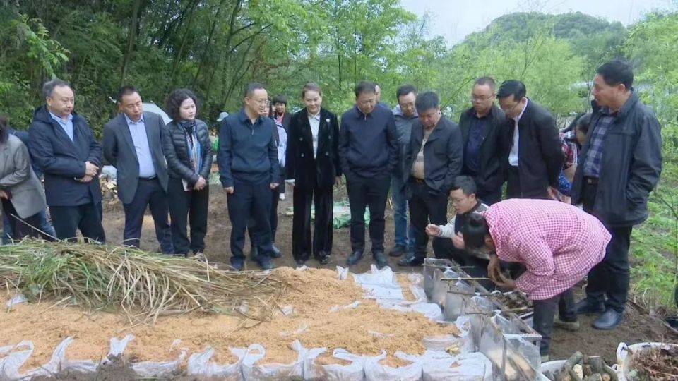 农工党重庆市委到大方县开展帮扶调研活动_腾讯新闻