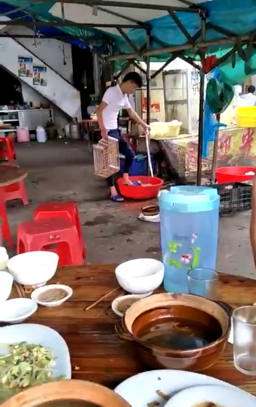 广东湛江大排档员工用脚洗豆芽，顾客在旁边边吃边看
