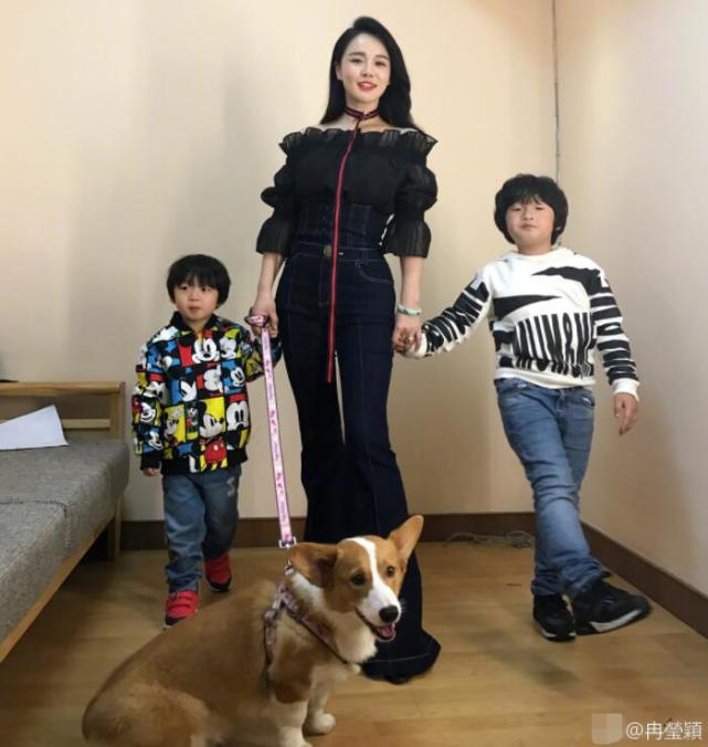 冉莹颖给儿做天赋基因检测 中科院教授：有趣的测试