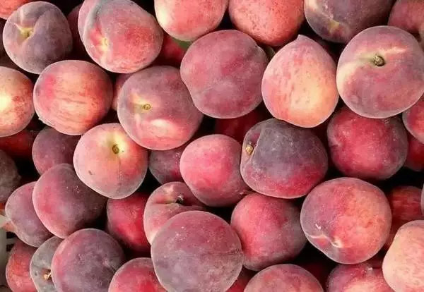 谨防水果过敏症:男子吃个毛桃出现休克进入IC