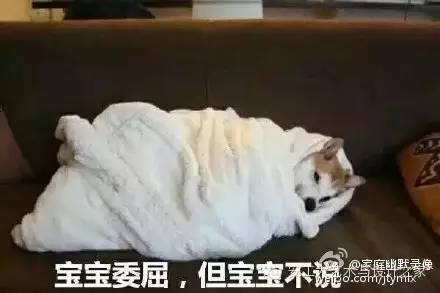 安徽工业大学团委