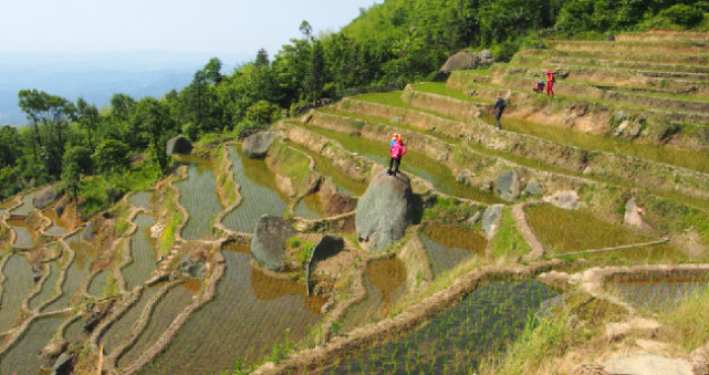 醉美郴州安仁：300年历史的莽山梯田