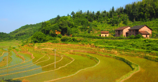 醉美郴州安仁：300年历史的莽山梯田