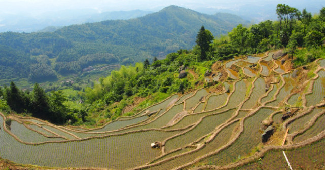 醉美郴州安仁：300年历史的莽山梯田