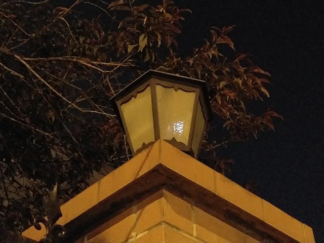 ŬZ17 ޱ߿ֻĳ