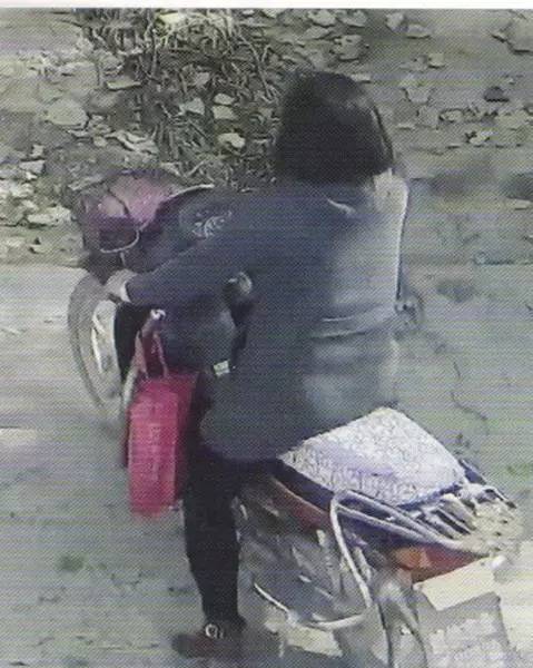 柘城人注意！警方50000元悬赏只为抓这名女子
