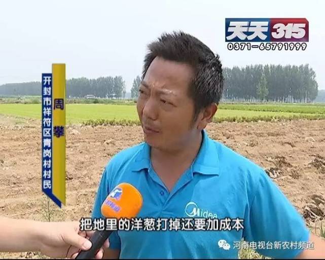 开封百亩洋葱收获却卖不出 疑似种子在“作祟”