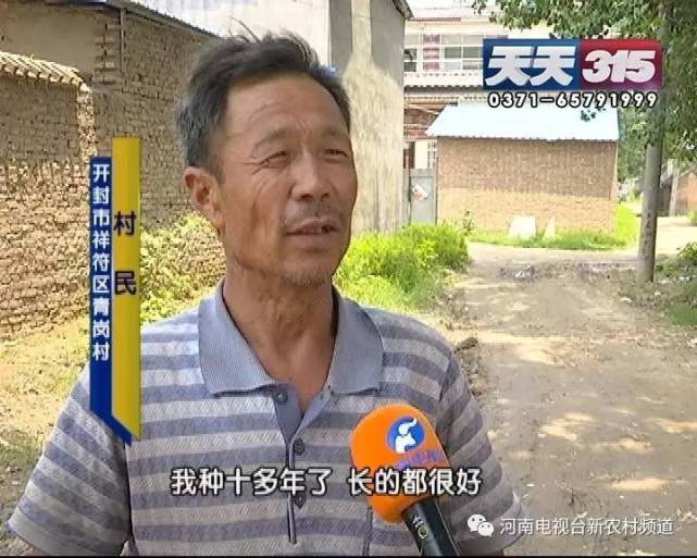 开封百亩洋葱收获却卖不出 疑似种子在“作祟”