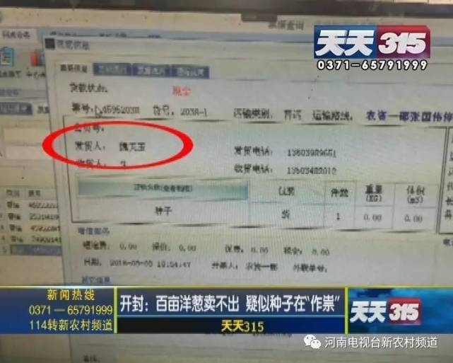 开封百亩洋葱收获却卖不出 疑似种子在“作祟”
