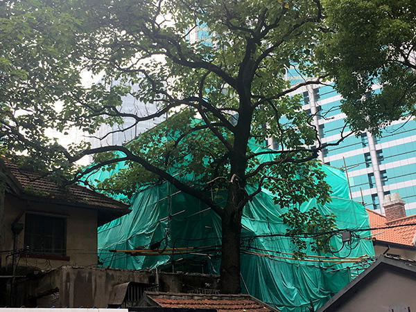 上海巨鹿路888号现场已被绿色网布围起