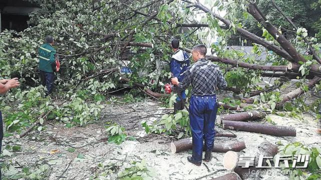 长沙城区未现大面积长时间积水 防涝排渍积极