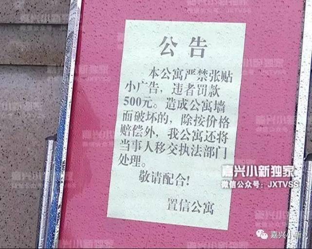 嘉兴这家物业只用一招 就治住了搞“牛皮癣”这帮人