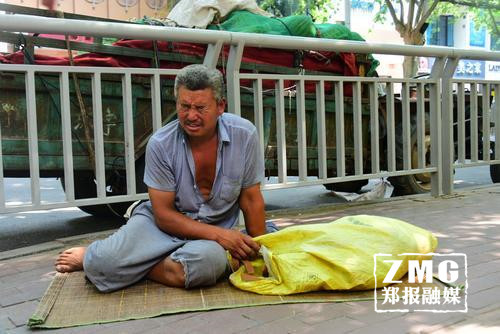 瓜農(nóng)夜宿街頭錢被盜 鄭州市民伸援手高價買瓜