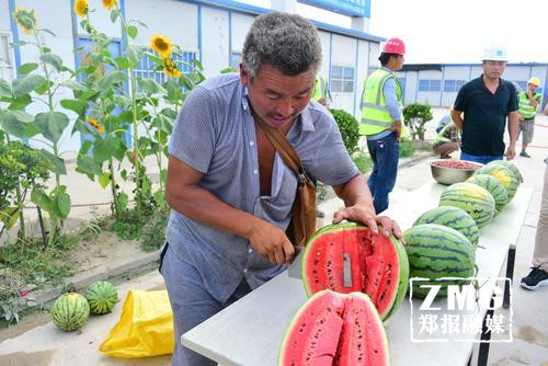 瓜農(nóng)夜宿街頭錢被盜 鄭州市民伸援手高價買瓜