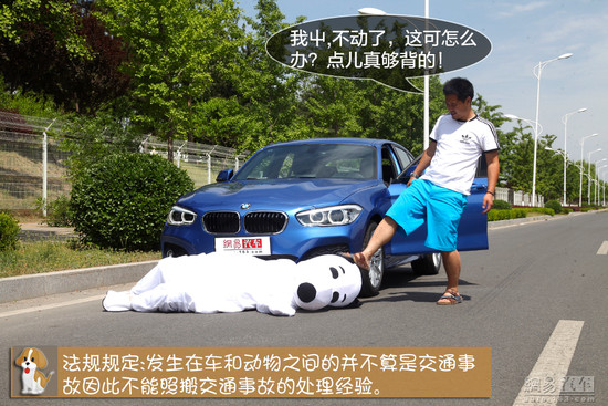 石岐女子宠物狗被车撞死了 然而这不算交通事