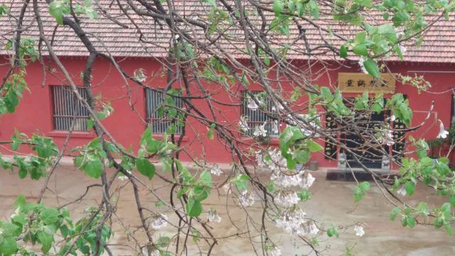 太乙宫慈云寺首届青少年福慧夏令营公告