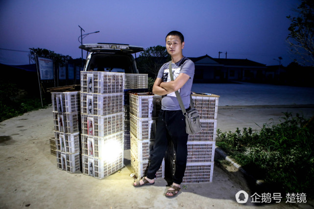 男子田间收小龙虾 3个月卖1000万
