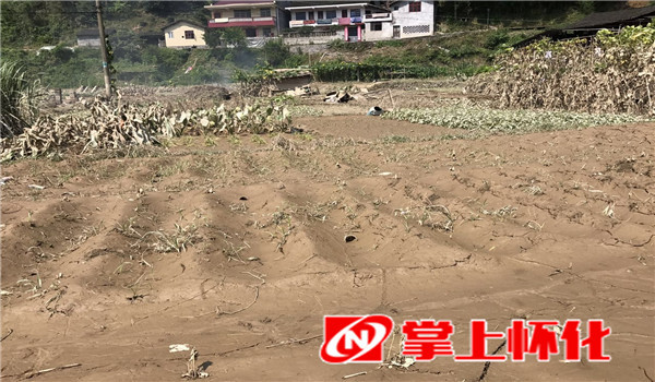 走进灾区看重建 怀化洪江区:人少战力强