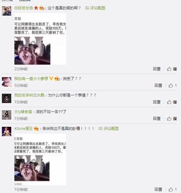 王思聪100万找狗？回应：好好上班不要做白日梦