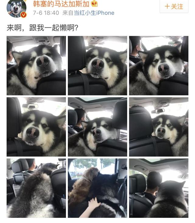 ɿѵһ䴫վ ǵĳҪ찡