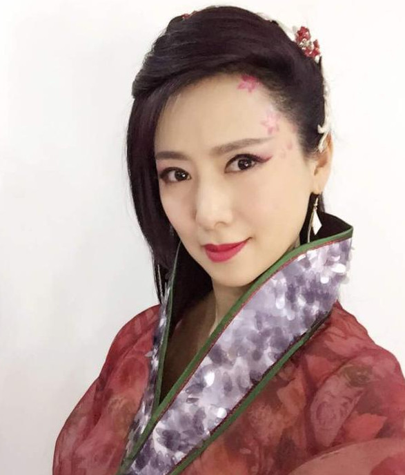 49岁翁虹拍马戏曾发生意外 轻微脑震荡仍坚持拍 - 1