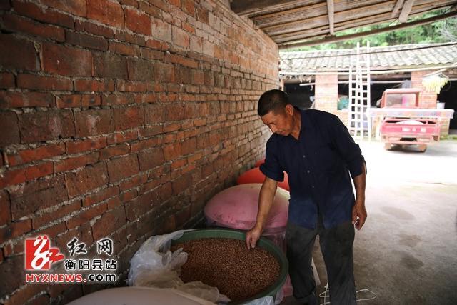 衡阳县一老人迷恋手工酿酒40年 传统手艺受追