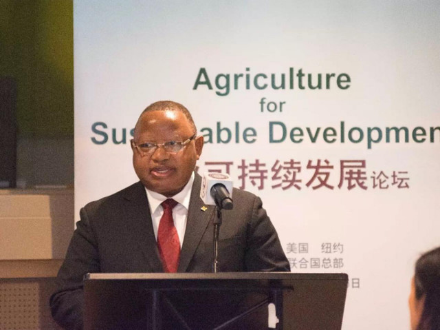 农业可持续发展论坛在联合国总部举行