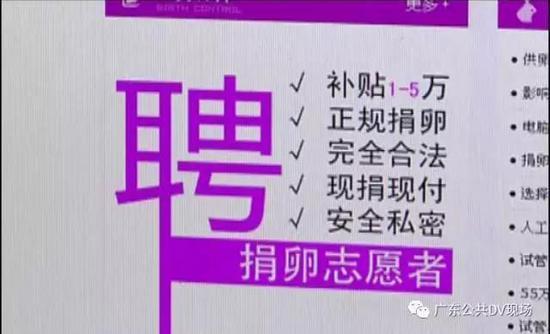 广州卖卵黑市：少女卖卵一次赚1.5万 有人险丢命