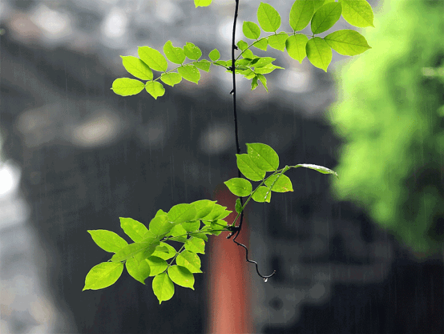好雨知时节,当春乃发生