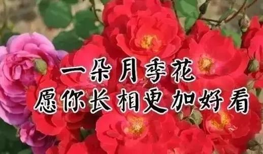 12月的第一天,一首《好运送给你》祝我牵挂的人,开心幸福,健康吉祥!