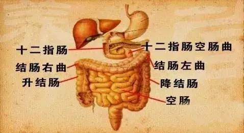 在高抬脚时,大小肠自然会蠕动,膀胱更有力,男女生理功能更是增强奏效