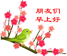 20201127星期五《早上好》