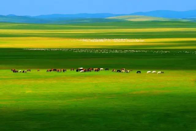 新疆   那拉提草原