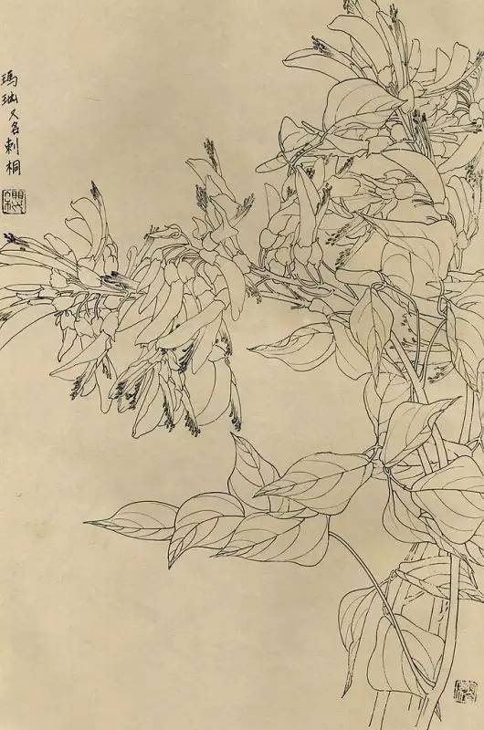 白描画百花图谱