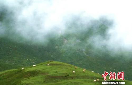 中央说话严肃批祁连山生态问题 甘肃书记称知耻奋进