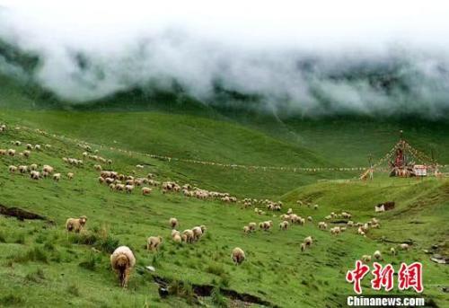 中央说话严肃批祁连山生态问题 甘肃书记称知耻奋进