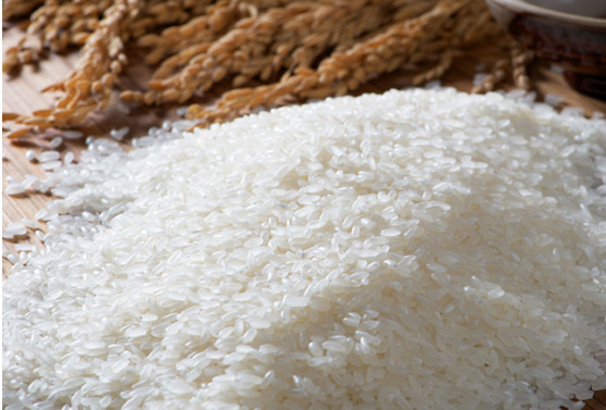 打造宝宝专属用米,米小芽获章子怡等数百万天